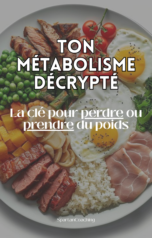 TON MÉTABOLISME DÉCRYPTÉ ! (Ebook)